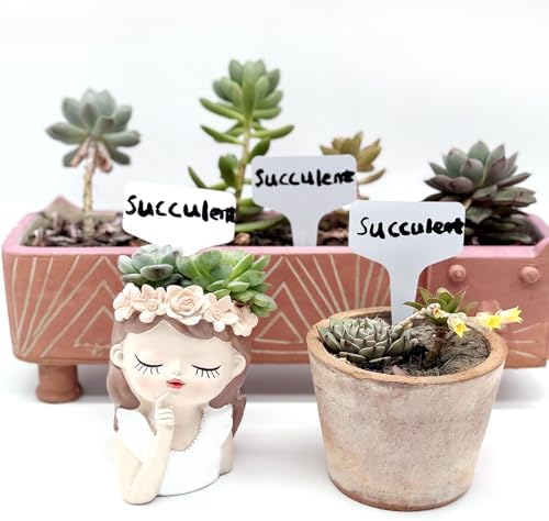 T-Type Plastic Plant Labels | Reusable Waterproof | Weather Resistant Nursery Garden Tags for Seedlings, Seed Starting, Pots, and Indoor Herb Beds (100-Pack, White - Tags Only, NO Pen) - Image 4
