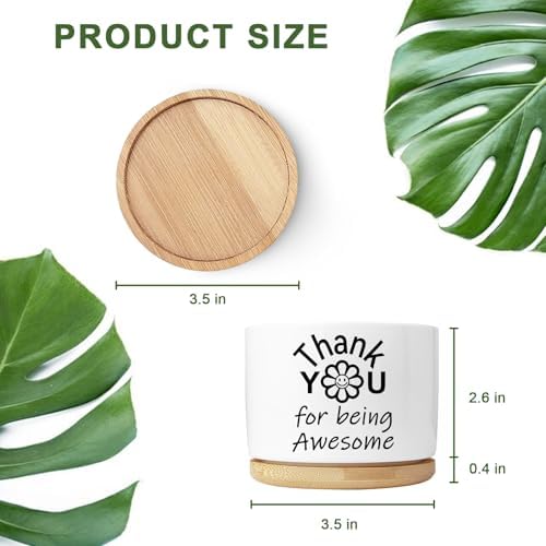 Thank You Gifts for Women, Succulent Planter, Flower Cactus Plant Pot, Employee Appreciation Gifts for Coworkers Nurse Friends Women, Thank You for Being Awesome (No Plants) - Image 4