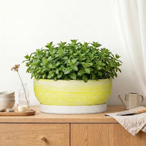 Succulent Pots, 13 Inch Ceramic Bonsai Tree Pots, Brushed Yellow - Image 6