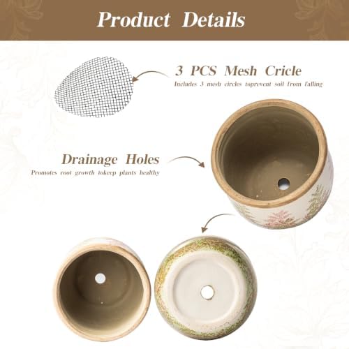 Ceramic Plant Pots Set of 2, 4.7+5.7 Inch Vintage Indoor Planters with Drainage Hole, Farmhouse Ceramic Flower Pots for Indoor Plants, Rustic Cottage Decor for Home Kitchen Garden, Pink - Image 4