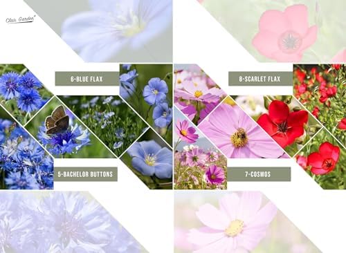 California Wildflower Mix - 5,000 Seeds - 17 Varieties - No Fillers, Open Pollinated and Non GMO, Perennial and Annual Garden Flowers, Attracts Bees and Butterflies - Image 6