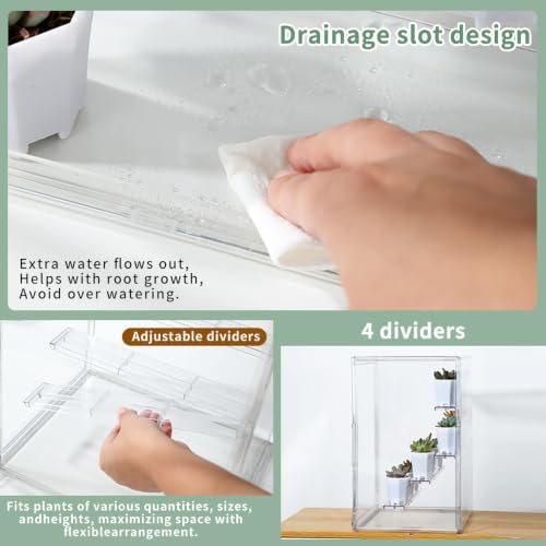 Mini Greenhouse Indoor Fourth Floor , Clear Acrylic Tabletop Greenhouse with Magnetic Door，Portable Small Plant Green House for Seed Starting, Plant Growing & Home Gardening Display - Image 3