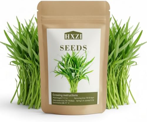 1000 Kangkong Seeds for Planting – Rau Muong Seeds Vietnam Variety – Kong Xin CAI Ong Choy Asian Vegetable for Filipino & Vietnamese Garden Growing by Unknown