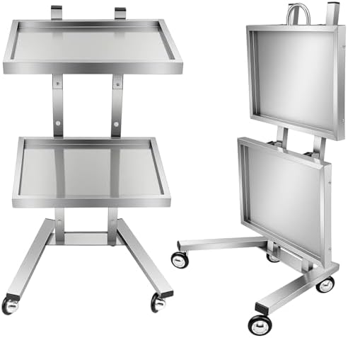 2 Tier Metal Rolling Cart, Stainless Steel Salon Tray with Wheels, Foldable Utility Carts, Folding Salon Tray Trolley for Tattoo (Silver) by GUIAFUHYE