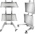 2 Tier Metal Rolling Cart, Stainless Steel Salon Tray with Wheels, Foldable Utility Carts, Folding Salon Tray Trolley for Tattoo (Silver) by GUIAFUHYE
