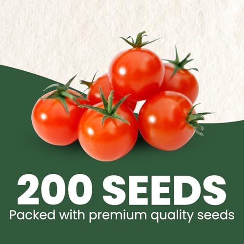 Cherry Tomato – 200 Premium Seeds for Planting – Sweet, Prolific, High-Yielding Heirloom for the 2026 Season – 600-Milligram Pouch - Image 2