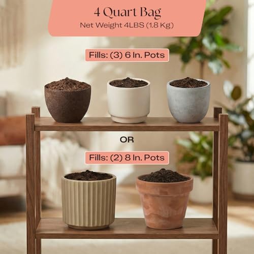 Rosy Soil Cactus & Succulent Potting Mix, 4 Quarts - Image 6