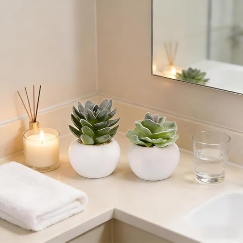 GREENTIME 6 Pcs Artificial Succulents in Ceramic Pots Small Fake Plants - Image 4