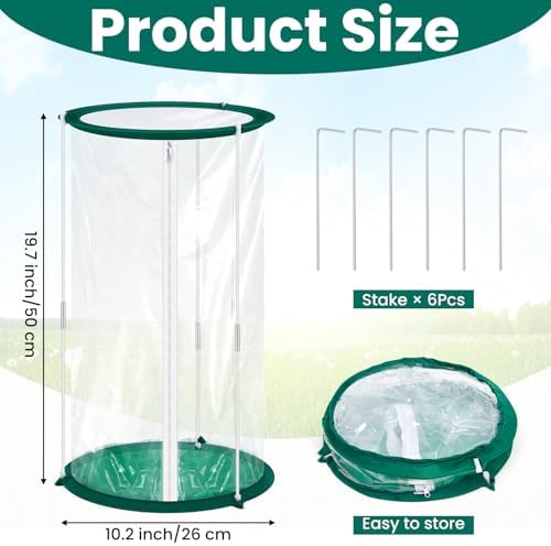 Nuanchu 2 Pieces Mini Greenhouse 19.7 x 10.2 Inch Portable Plant Flowers Mini Cover PVC Clear Greenhouse for Indoor Outdoor Gardening - Image 2