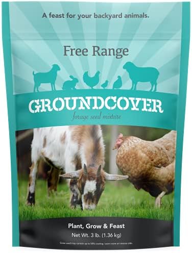 Barenbrug Free Range GroundCover Forage Seed Mixture - Ideal for Chickens, Game Birds, Goats, and Sheep - 3 lb Bag, Blue by Barenbrug
