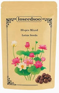 30PCS Premium Lotus Seeds for Planting in Water – Mixed Color Bowl Flower for Ponds, Bonsai, Indoor Water Gardens & Lotus Bowl Planter – Non-GMO, Easy Grow Water Lotus Seeds by Unknown