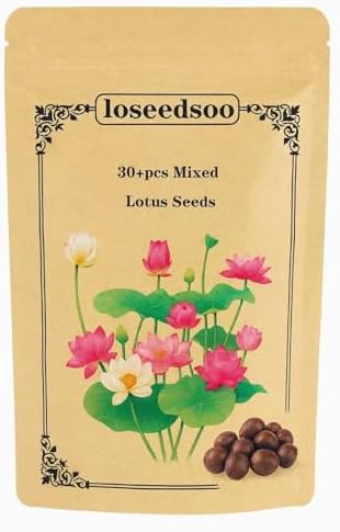 30PCS Premium Lotus Seeds for Planting in Water – Mixed Color Bowl Flower for Ponds, Bonsai, Indoor Water Gardens & Lotus Bowl Planter – Non-GMO, Easy Grow Water Lotus Seeds by Unknown