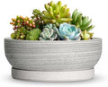 6 Inch Ceramic Succulent Planters with Saucer, Brushed Grey by Wliror
