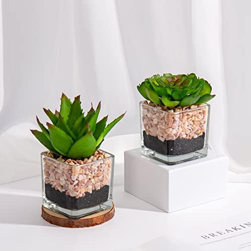 Briful Mini Fake Plants 3 Packs Cute Succulents Artificial Plants in Square Glass Vase Pot Potted Faux Succuletns for Living Room Dining Room Bathroom Kitchen Windowsill Table Decor - Image 4