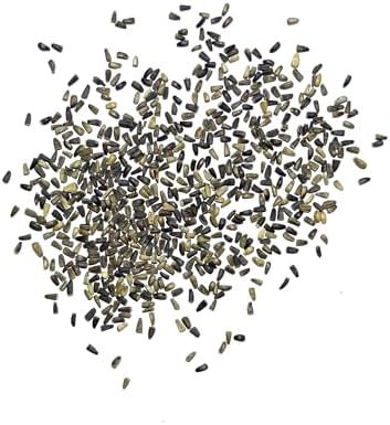 Seed Needs Garnet Stem Dandelion Seeds to Plant an Herb Garden - 1 Pack - Image 4