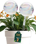Iridescent Self Watering Globes, Glass Rainbow Plant Watering Globes, Self Watering Planter Insert, Automatic Plant Waterer Indoor (Medium-2 Pcs Iridescent, Medium) by Plankkers