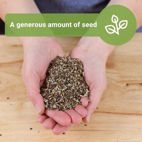 Sow Right Seeds - 56000 Mixed Wildflowers Seed for Planting Bulk Jumbo Pack - Image 3