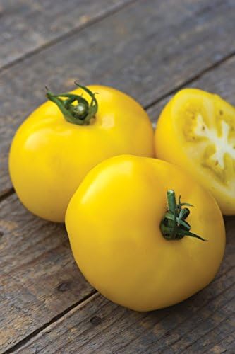 Burpee 'Sunny Boy' Hybrid, Yellow Beefsteak Slicing Tomato, 30 Non-GMO Seeds - Image 4