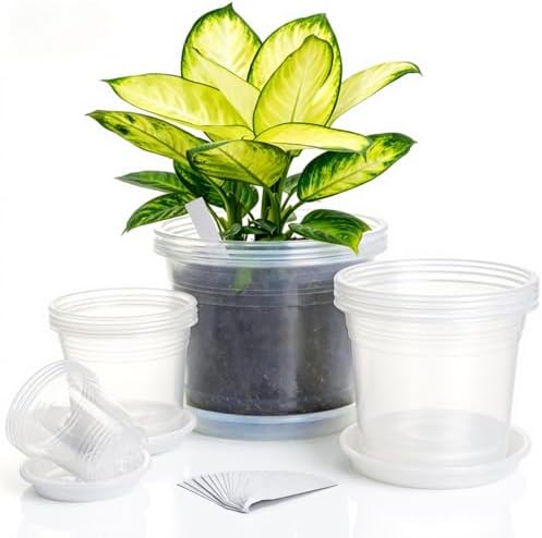 4/6/8/10 Inch Large Clear Nursery Pots with Drainage & Saucers & Plant Tags by FDKYOEK
