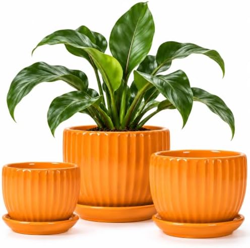 4/5/6 Inch Ceramic Pots for Plants Indoor Drainage Saucer Gifts for Mom by TonSin