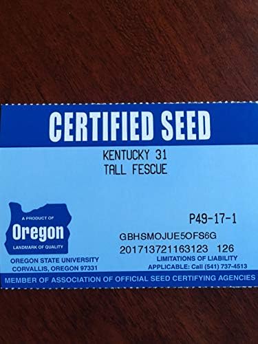 Kentucky 31 K31 Tall Fescue Grass Seed by Eretz - Choose Size! State Certified, No fillers, No Weed or Other Crop Seeds (10lbs) - Image 6