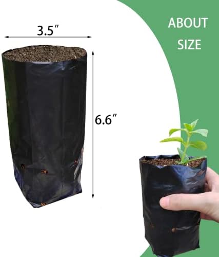 Belit 100 Pcs Plant Nursery Bags, Plastic Seedling Pots Container for Fruit Tree, Flower, Starting saplings, Plant Grow(3.5"x6.6") - Image 5