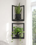 Bamworld Picture Frame Wall Planters Set of 2 Corner Wall Plant Holder by Bamworld