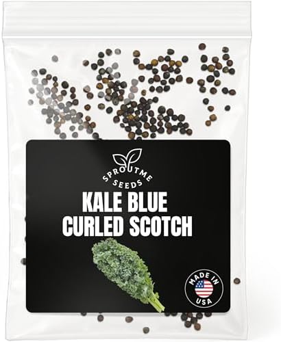 SproutMe Kale Blue Curled 500+ Seeds for Planting, Non-GMO Heirloom by SproutMeSeeds