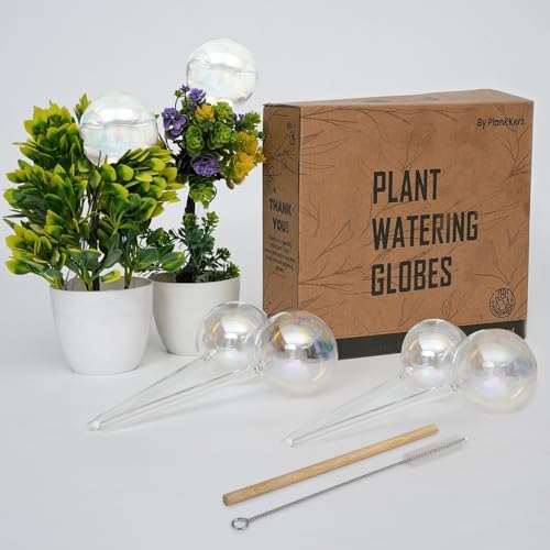 Iridescent Self Watering Globes, Glass Rainbow Plant Watering Globes, Self Watering Planter Insert, Automatic Plant Waterer Indoor (Medium-6 Pcs Iridescent, Medium) by Plankkers