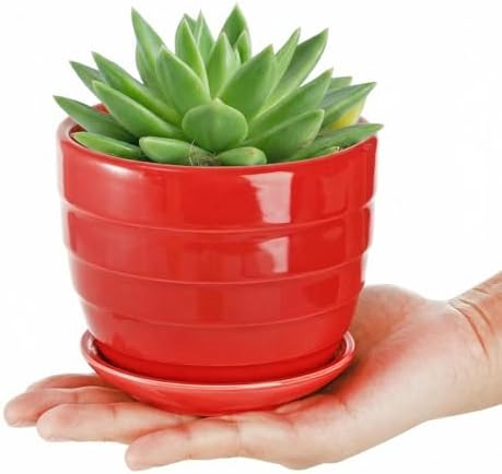 Elsjoy 12 Pack 4.3 Inch Ceramic Succulent Pots with Drainage and Attached Saucer, Small Decorative Succulent Planter Cute Ceramic Flower Pots for Home, Garden - Image 3