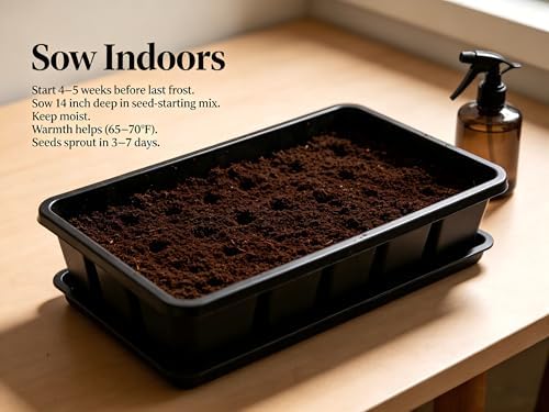 Carpet 400+ Mixed Dahlia Seeds for Planting, Colorful Perennial Heirloom Dahlia pinnata, Long Blooming Cut Flowers for Garden Beds, Borders and Containers - Image 5