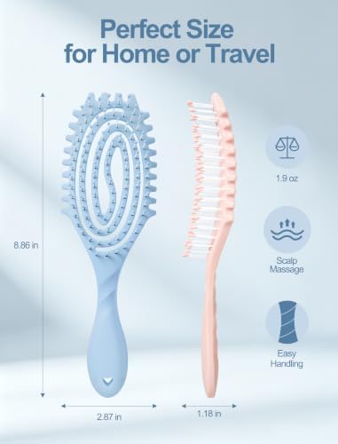HIPPIH 2 Pack Hair Brush - Wet Dry Detangler Brush, Hair Brushes for Women - Image 2