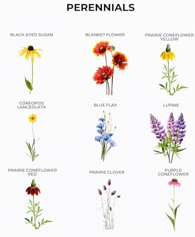 Tactiko Save the Bees Wildflower Seed Mix, 4oz - Image 7