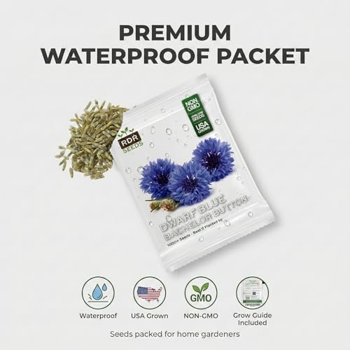 1000 Dwarf Blue Bachelor Button Flower Seeds for Planting, Centaurea cyanus (Cornflower), Heirloom, Non-GMO, USA Grown - by RDR Seeds - Image 4