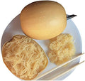 Park Seed Hybrid Spaghetti Squash Seeds – Golden-Orange Oval Fruits with Creamy Yellow Flesh, Healthy Pasta Alternative, High-Yield Vining Plant with Compact 3 lb Fruits, Easy to Grow, Pack of 20 by ParkSeed