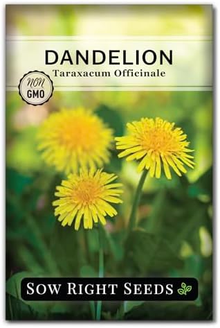 Sow Right Seeds - Common Dandelion Seed for Planting Outdoor Herb Garden by SowRightSeeds