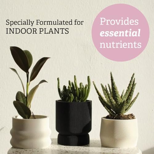 Creations by Nathalie Succulent Terrarium Soil Mix & 1oz Plant Food Kit - Image 3