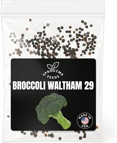 SproutMe Broccoli Waltham 29 300+ Seeds for Planting, Non-GMO Heirloom by SproutMeSeeds