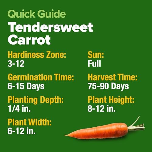 HOME GROWN Tendersweet Carrot 6000+ Seeds, Daucus carota subsp. sativus - Image 5