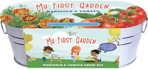 Buzzy Seeds My First Garden Grow Kit, Metal Planter, Tomato & Marigold by BUZZY