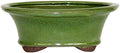 Brussel's Bonsai - Medium Ceramic Bonsai Planter, Oval Bonsai Pot by BrusselsBonsai