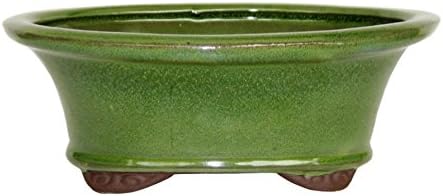 Brussel's Bonsai - Medium Ceramic Bonsai Planter, Oval Bonsai Pot by BrusselsBonsai