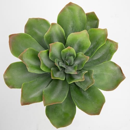 Briful Succulents Plants Artificial for Home Decor, Realistic Potted Fake Plant, Bubbled Plant Pot, Cute Succulents Faux Plant, Shelf Tables Decor, Modern Farmhouse Home Decorations - Image 3