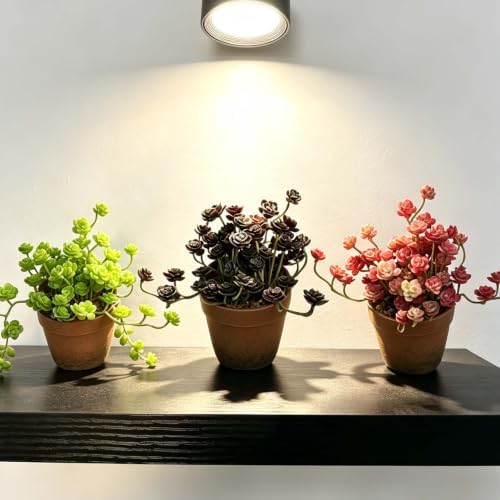 Artificial Burgundy Trailing Rosette Succulent Potted Plant, 2 Pack - Image 4