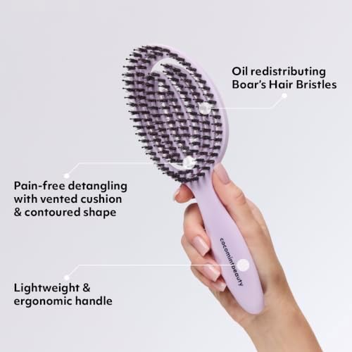 The Boar's Hair Bristle Wellness Brush | Conditions, Detangles, Boosts Scalp Circulation, Lightweight Flexible Design, Vented Cushion, Pain-Free, Helps Dry Damaged Hair (Korean Lilac) - Image 3