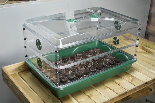 24" x 15" x 12.75" Domed Propagator with 2 Height Extenders and Locking Clip Set, Green - Image 6