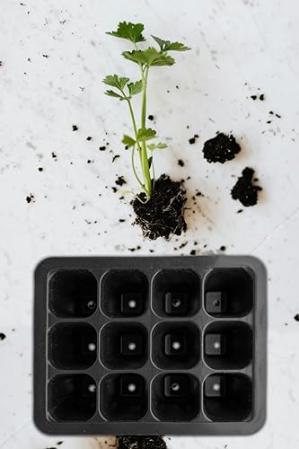Plant Seed Starter Trays, 12 Cells per Tray, Plastic with Drainage Holes, Seedling Trays for Vegetables, Flowers, Succulents (36) - Image 3