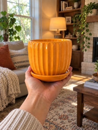 4/5/6 Inch Ceramic Pots for Plants Indoor Drainage Saucer Gifts for Mom - Image 3
