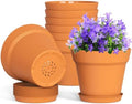 WSMKSZ 4 Inch Plastic Plant Pots with Drainage Holes and Trays – 8 Pack Small Nursery Pots for Indoor & Outdoor House Plants and Flowers, Seedling Starter Planters, Terracotta by WSMKSZ