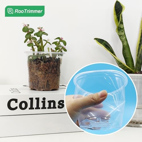 RooTrimmer 4" Clear Seeding Pots 50-Pack Round for Seeds Starting, Seeds Germination Transparent Nursery Pots with Drainage Holes (4Inch,Clear,50Pcs) - Image 5